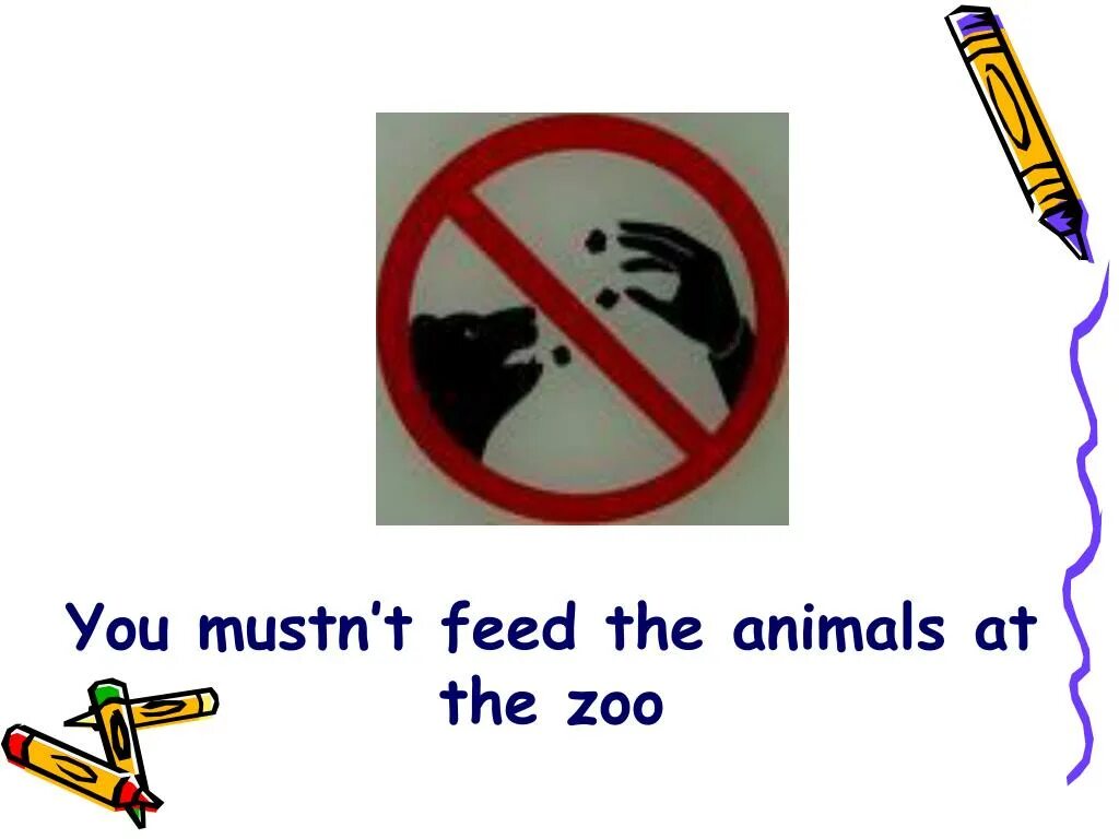 Must mustn't правило. You mustn't Feed the animals. Must mustn't signs. Must mustn't презентация. You mustn t wear
