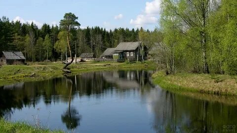 Плески деревня