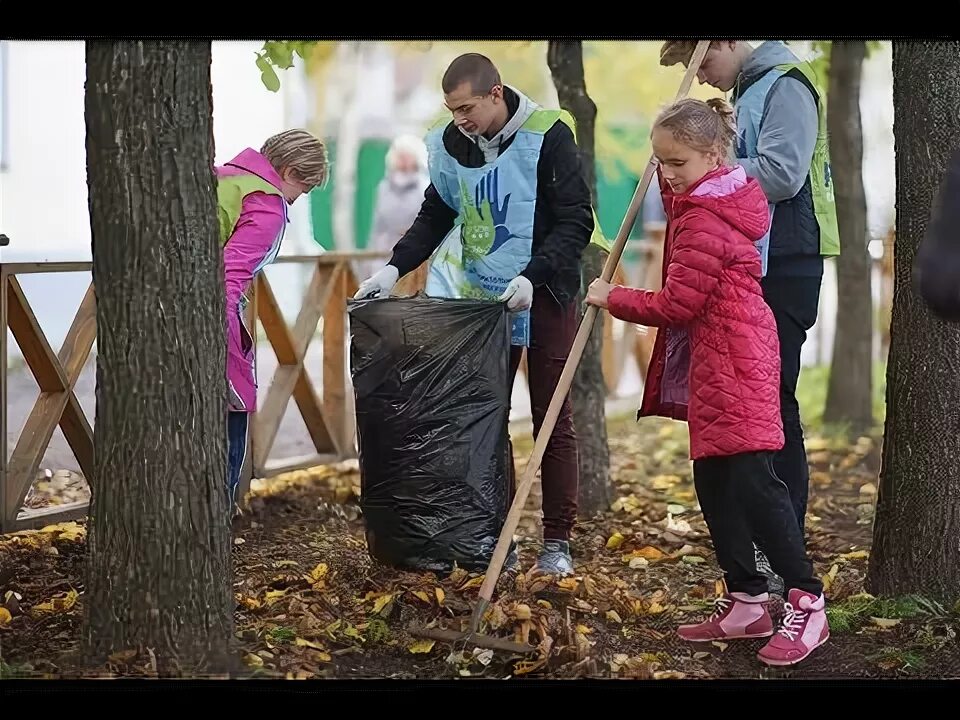 Программа доброе дело
