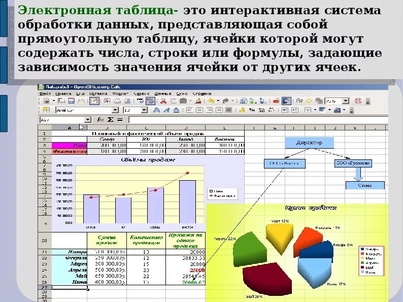 Основы работы данными. Электронная таблица. Ввод данных в таблицу. Средства работы с электронными таблицами. Основы работы в электронных таблицах.