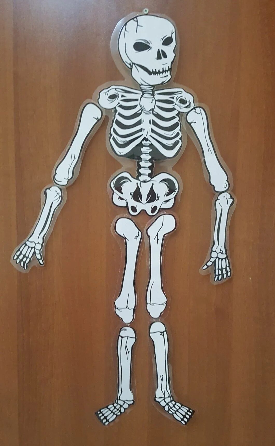 Скелет поделка для детей. Макет скелета из бумаги. Скелет 3д модель. Скелет из пластилина. Скелетик из проволоки.