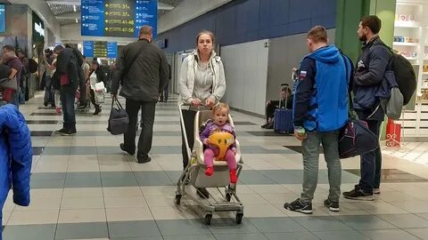 Дети в аэропорту домодедово
