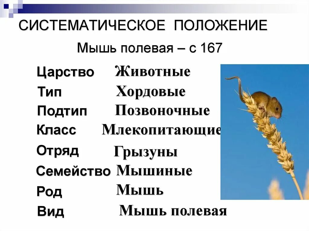 Оказывать систематическую