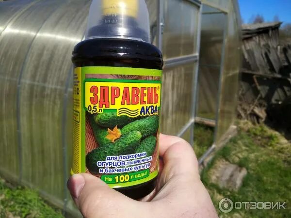 Азотная подкормка для огурцов. Удобрение для огурцов. огурцы удобрение для подкормки. универсальная подкормка для огурцов. удобрение для бахчевых культур.