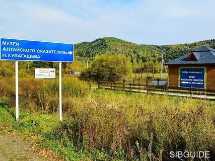 Явка в алтайском крае