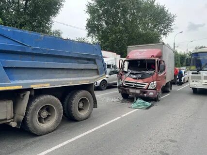 Жесть томск