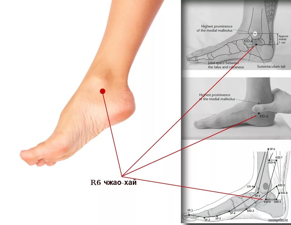 Где живут ноги. Медиальная лодыжка голеностопного сустава. Чжао Хай точка. Чжао-Хай r.6. Чжао Хай точка акупунктуры.
