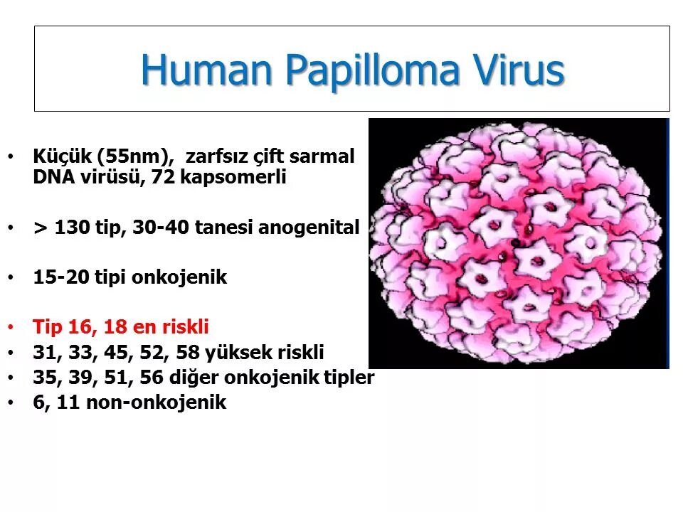 HPV 16 virus structure. Соленоид HPV 15. Papilloma virus