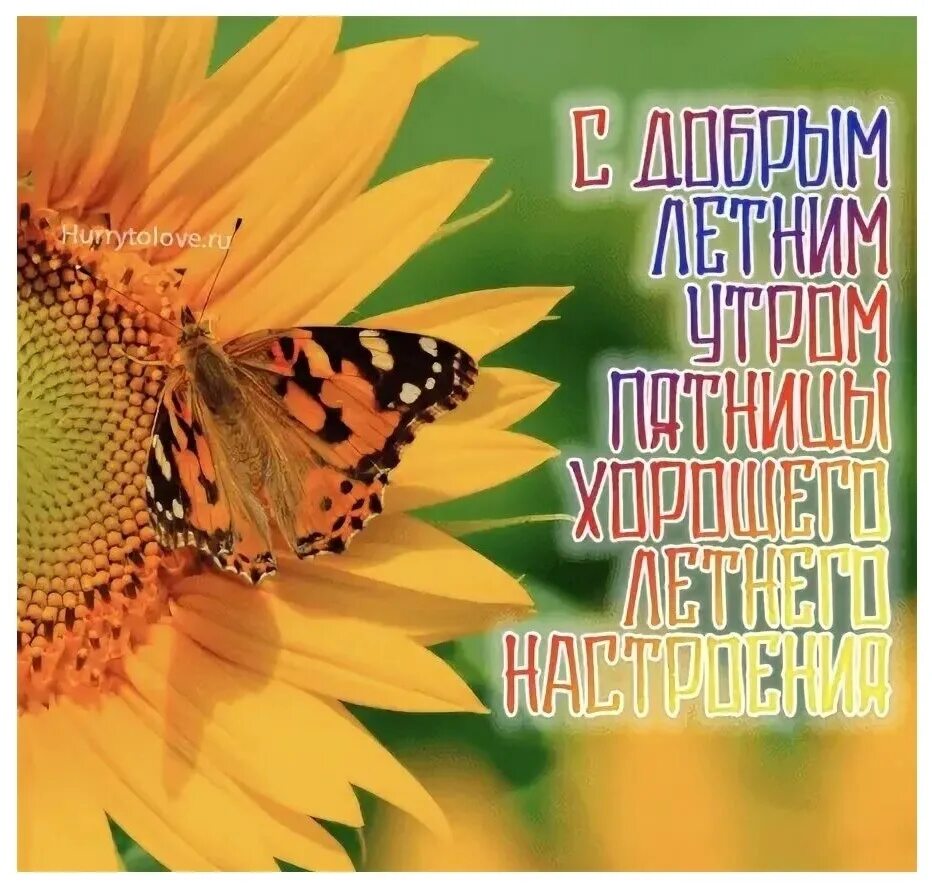 Доброе утро хорошего дня пятницы августа. Доброе летнее утро пятницы. доброе утро пятница лето. открытки с добрым утром пятница лето. доброе летнее пятничное утро.