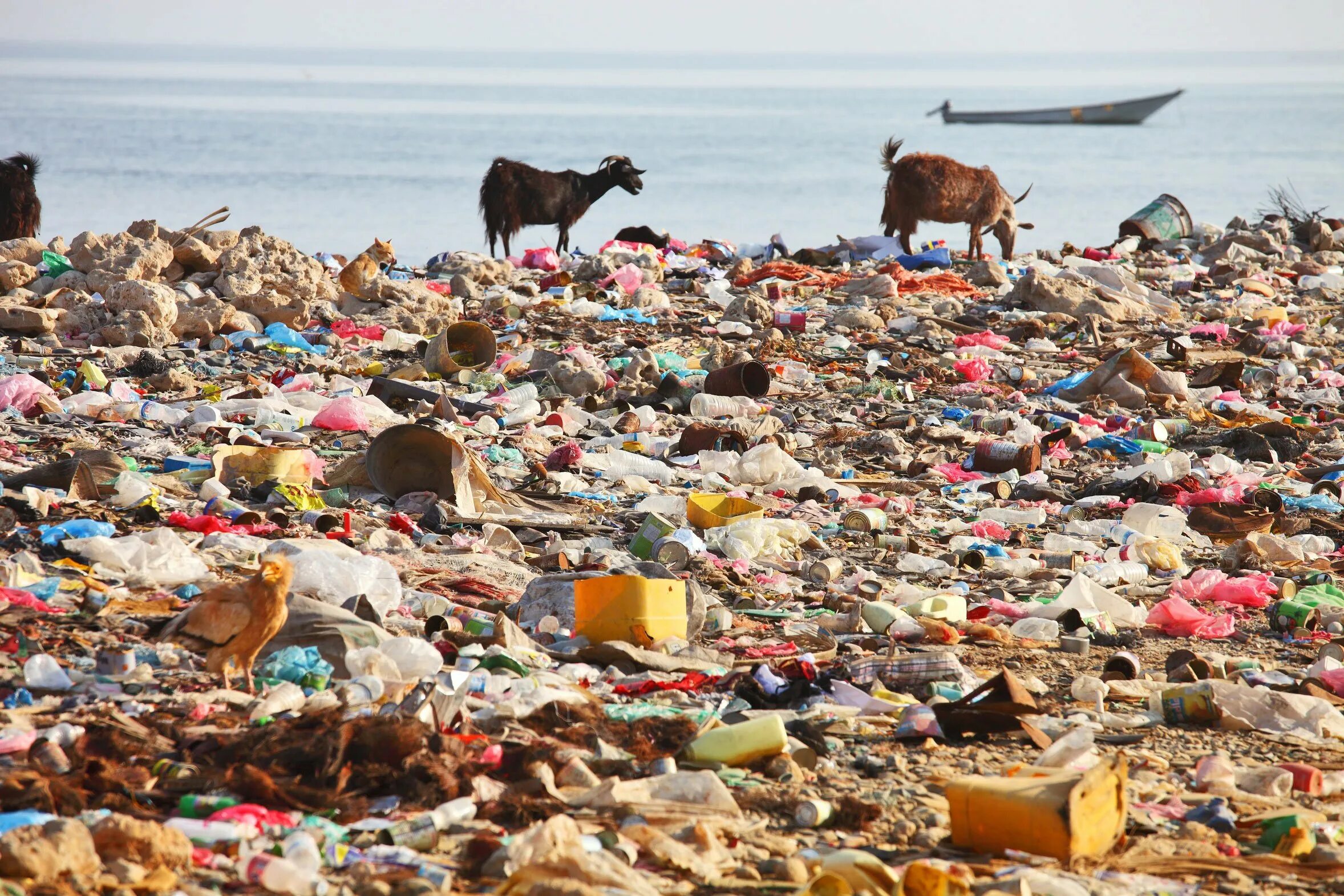 A lot of pollution. Экологическая катастрофа. Загрязнение океана. Экологическое бедствие. Человек загрязняет природу.