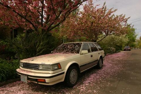 Старый nissan
