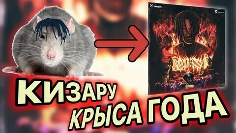 Крысы 2019