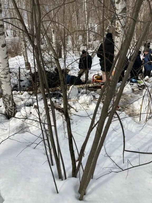 Пропавшие найдены погибшими. Тело девушки нашли в лесу.