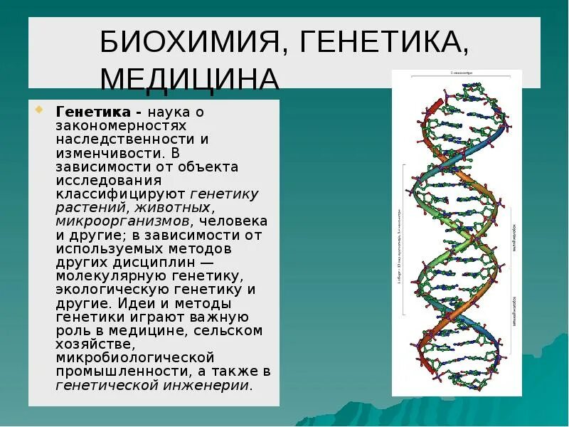 Генетика это наука о. Генетика и медицина доклад. Современная генетика. Генетика и медицина презентация.
