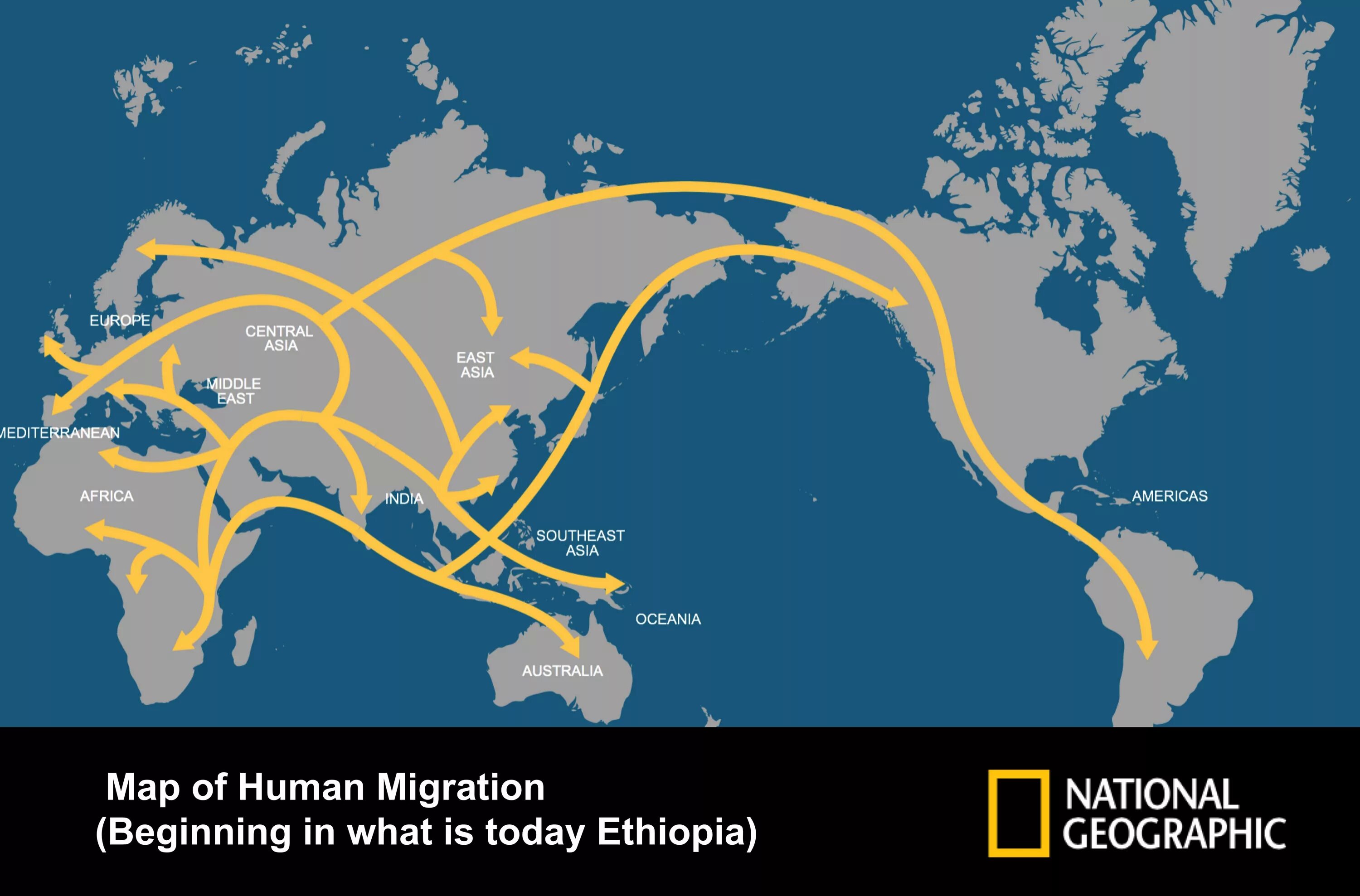 Расселение и миграция. Расселение людей по земному шару. Карта расселения людей. Карта расселения людей по земному шару. Карта миграции людей.