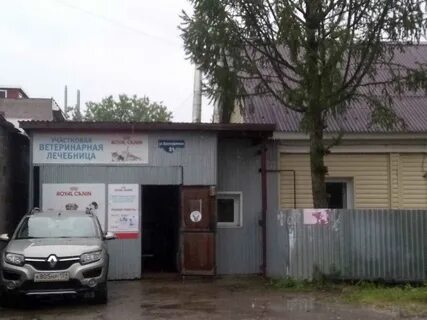Ветеринарные пермь