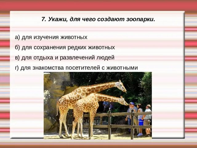 Для сохранения редких животных создана. Для сохранения редких животных создана. Вымирающие животные в россии. Для сохранения редких животных создана. Для сохранения редких животных создана.