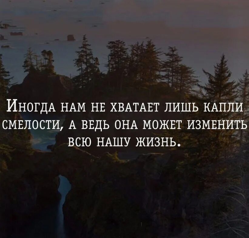 Смелость высказывания. Высказывания о смелости. Фразы про смелость. Высказывания о смелости и решительности. Цитаты про смелость и решительность.