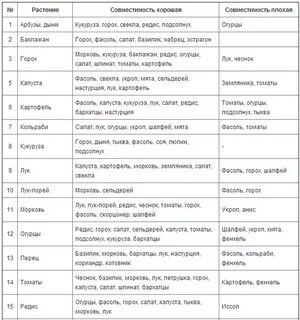 Совместимость гороха