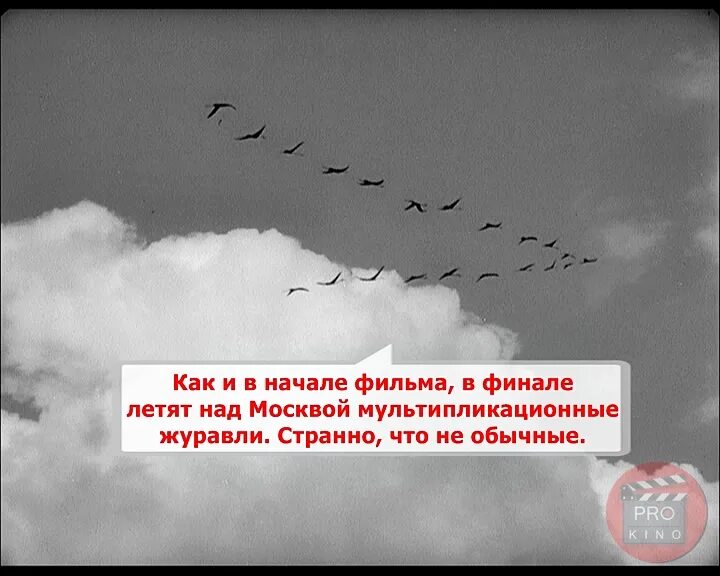 Вы совсем забыли как летать. Летят Журавли. «Летят Журавли» Михаила Калатозова. Как летят Журавли.