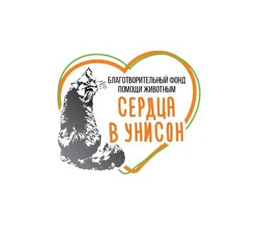 Благотворительный фонд зои шумиловой помощи животным