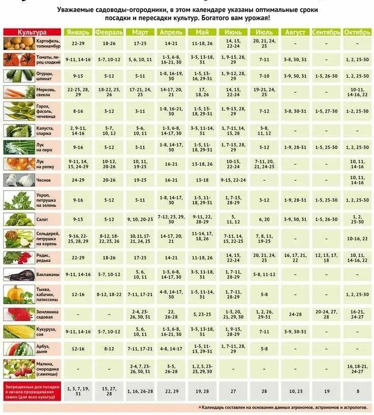 Когда можно сеять перцы в 2024 году. Лунный календарь посадок. Лунный календарь для посадки рассады. Календарь посева рассады. Лунный календарь для посадки расад.