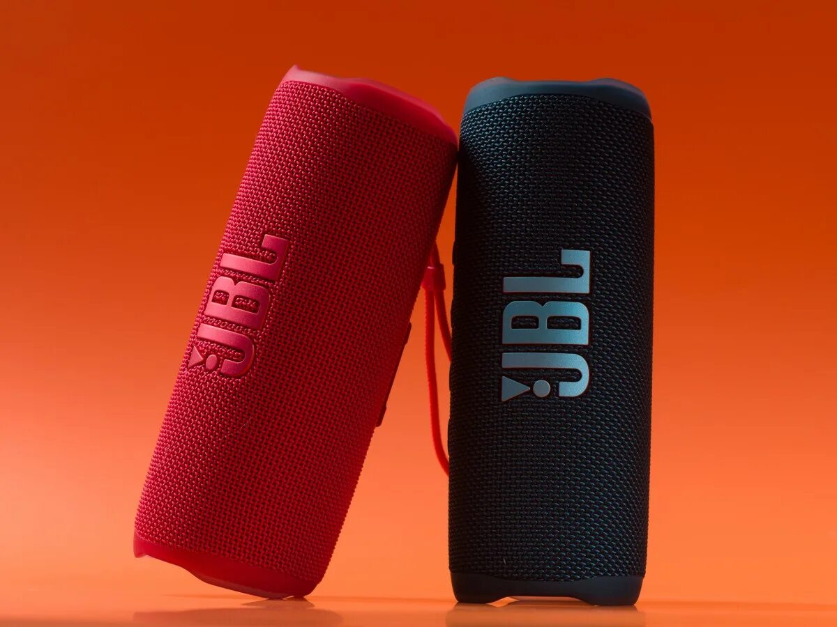 Flip 6 отзыв. JBL Flip 6. Портативная колонка JBL Flip 6. Колонка JBL Flip 6 ДНС. JBL Flip 6 розовая.