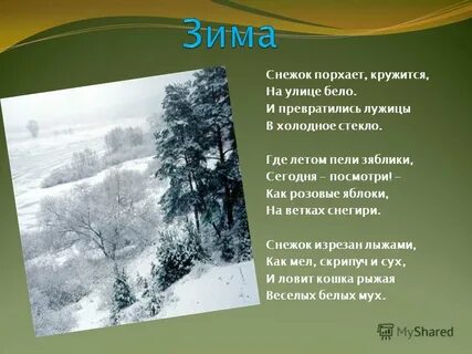 И превратились лужицы