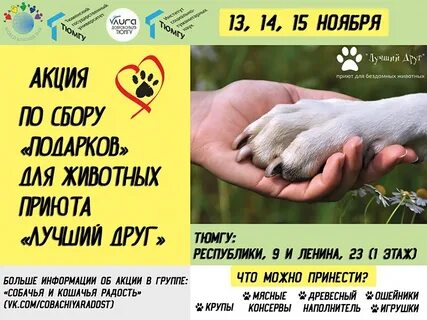 Приют лучший друг