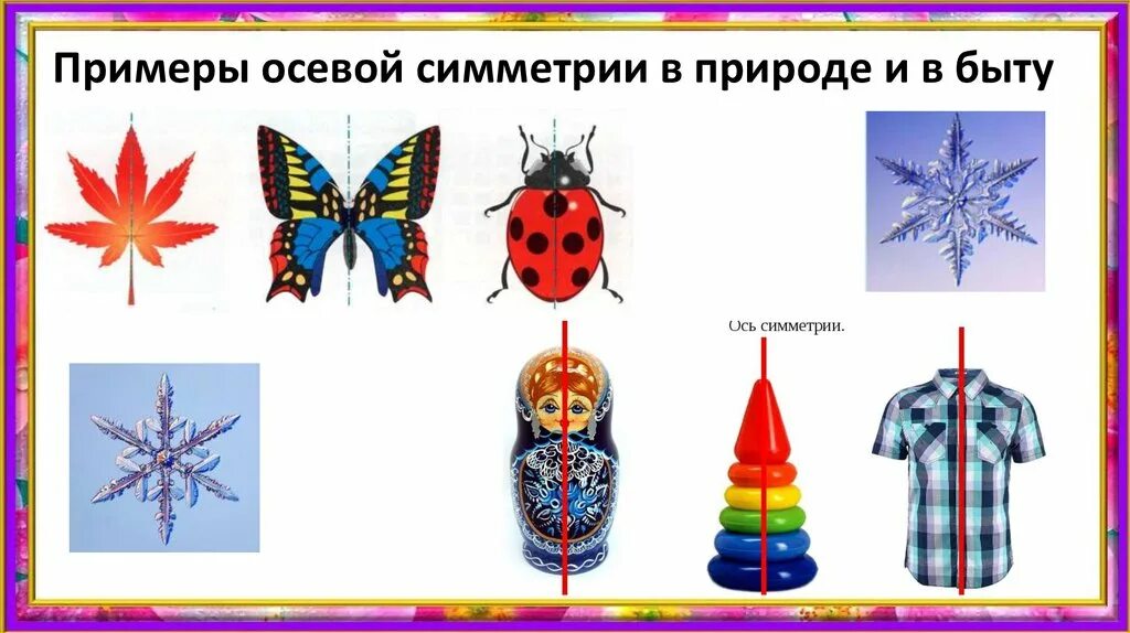 Симметричные фигуры в природе. Симметричные предметы. Предметы имеющие центр симметрии. Ось симметрии в природе. Центрально симметричные предметы.