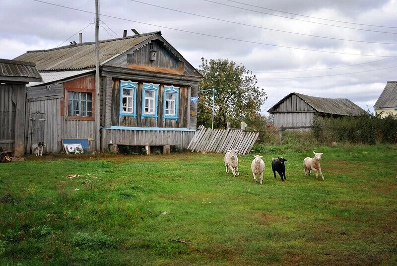 Городечня Брянская область деревня. Деревня Струженка Брянская область. Деревня Икрово Островский район. Тенешево Жуковский район. Купить русскую в брянске