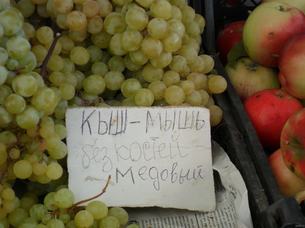 Мыши виноград. Смешные надписи на рынке. Смешные надписи на фруктах на рынке. Ценники на рынке. Прикольные ценники на рынке.