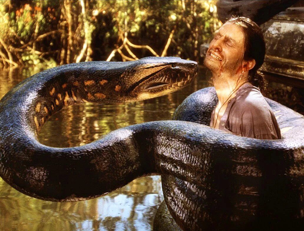 Нагини гарри поттер. Гарри поттер змея нагайна. Анаконда 2: охота за проклятой орхидеей фильм 2004. Энтони хопкинс фильм анаконда. Советский фильм долина змей.