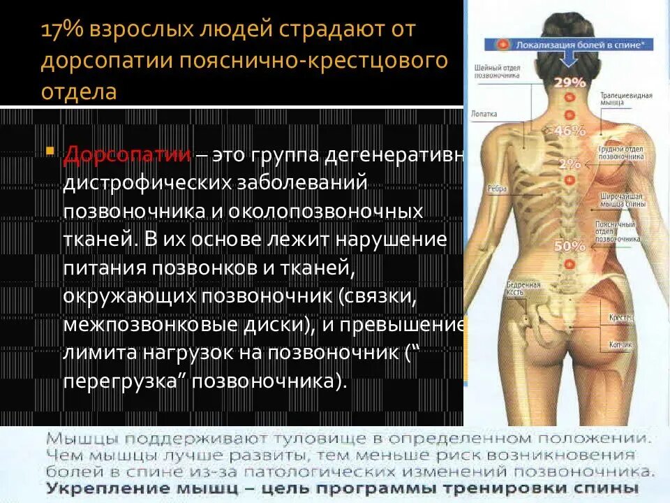 Пояснично-крестцовый отдел. Доролития поясничного отдела. Дорсопатия пояснично-крестцового отдела. Леопатия поясничного отдела. Заболевания локализация боли