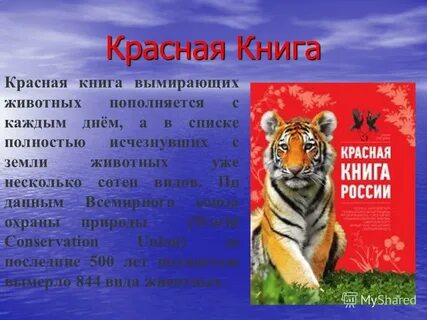 Животное красной книги 2 класс окружающий