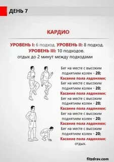 Неделя кардио