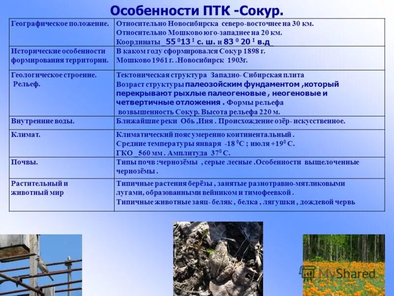 Природно территориальный комплекс тайга