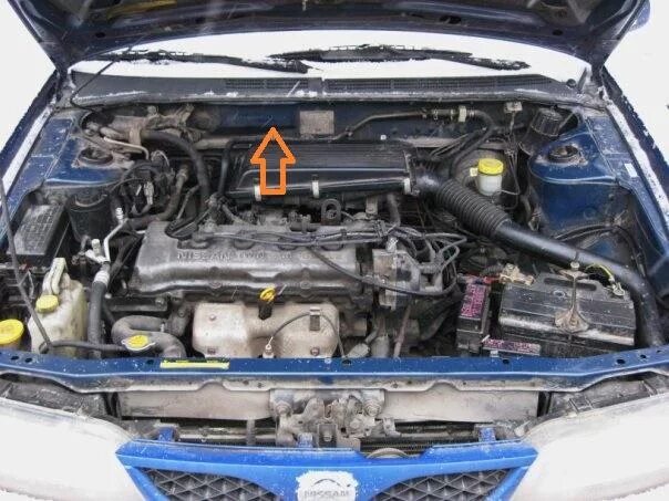 Nissan Bluebird Sylphy, 2004, QG10172345, QG18DE в Барнауле