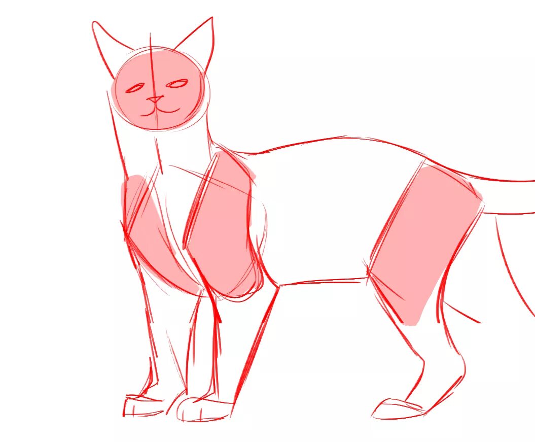 Cats tutorials