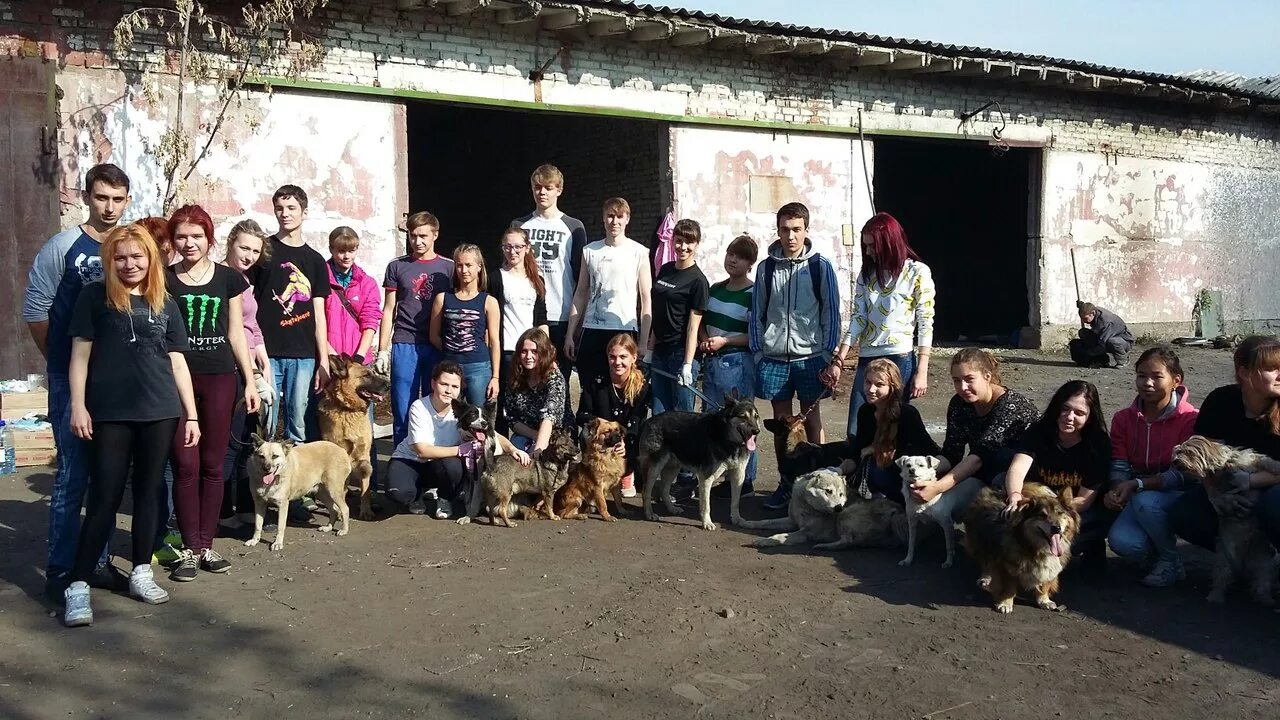 Приют человек помогите людям. Приют 4 лапы Санкт-Петербург. Жулебино приют. Волонтеры в приюте для животных. Волонтеры с собаками.