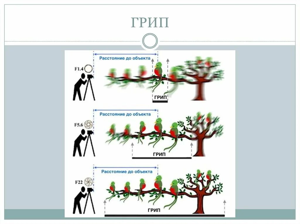 Грип глубина резкости. Глубина резко изображаемого пространства. Грип глубина резко изображаемого пространства. Глубина резкости схема. Глубина резкости в мире нет