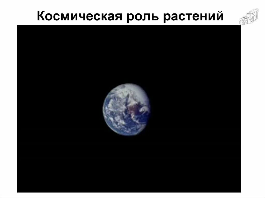 Что такое космическая роль растений. Космическая роль растений. Космическая роль земных растений. Космическая роль растений в космосе. Космическая роль зеленых растений.