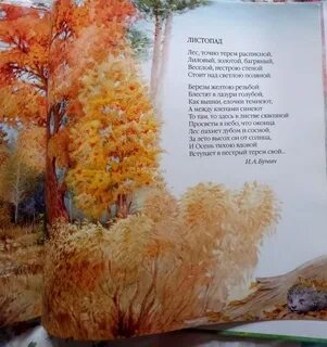 Песня на дворе листопад