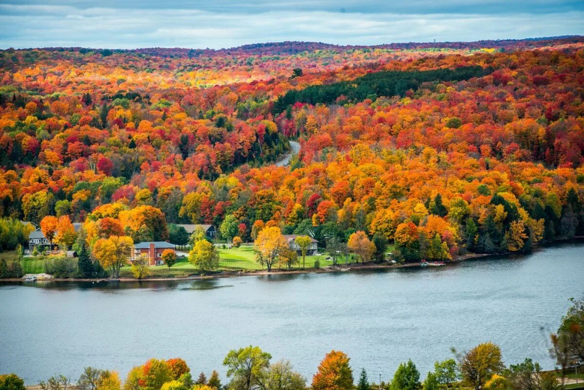 Кленовая роща осень канада. Осенний смешанный лес. Диета белково-углеводного чередования. Смешанный день. Смешанный день.