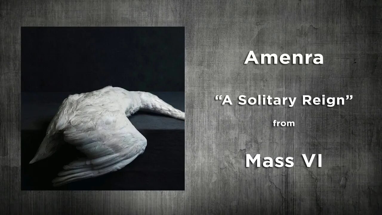 Solitary перевод. Amenra a solitary Reign. Amenra Mass vi. Аменра Колин. Amenra the solitary Reingh.