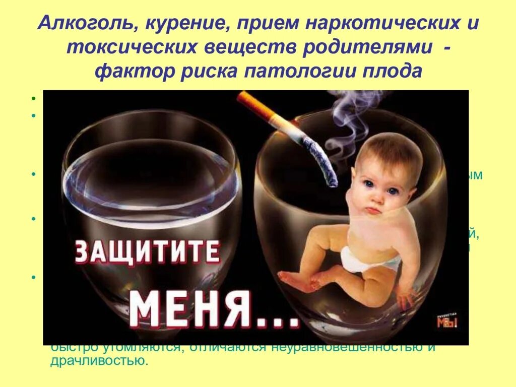 Молли грэм ганнибал. Открытая политика с андреем потылицыным. Как спасти отца. Как спасти отца. Потылицын открытая политика.