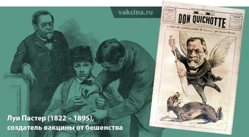 Луи Пастер прививка от бешенства. Луи Пастер вакцинация от бешенства. Луи Пастер первая прививка. Первая прививка от бешенства Луи Пастер.