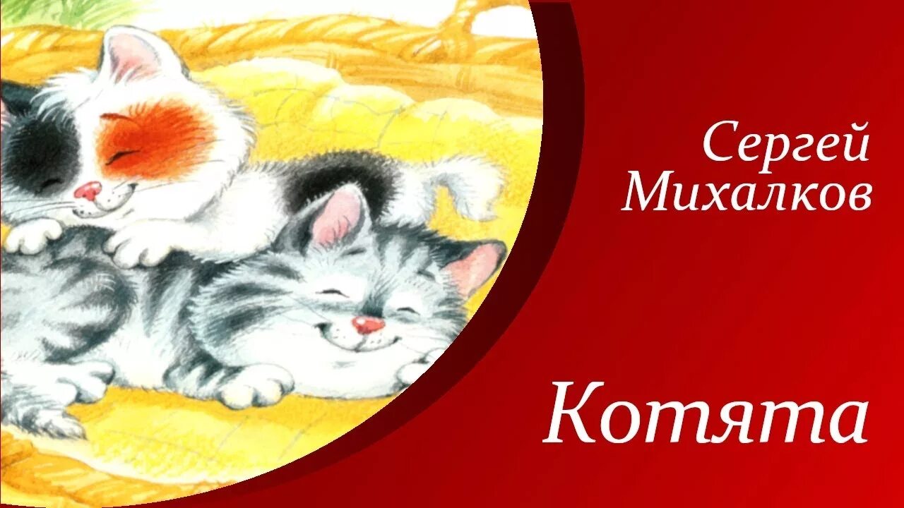 Чье стихотворение котенок. Котята Михалкова. Михалков стихи для детей котята.