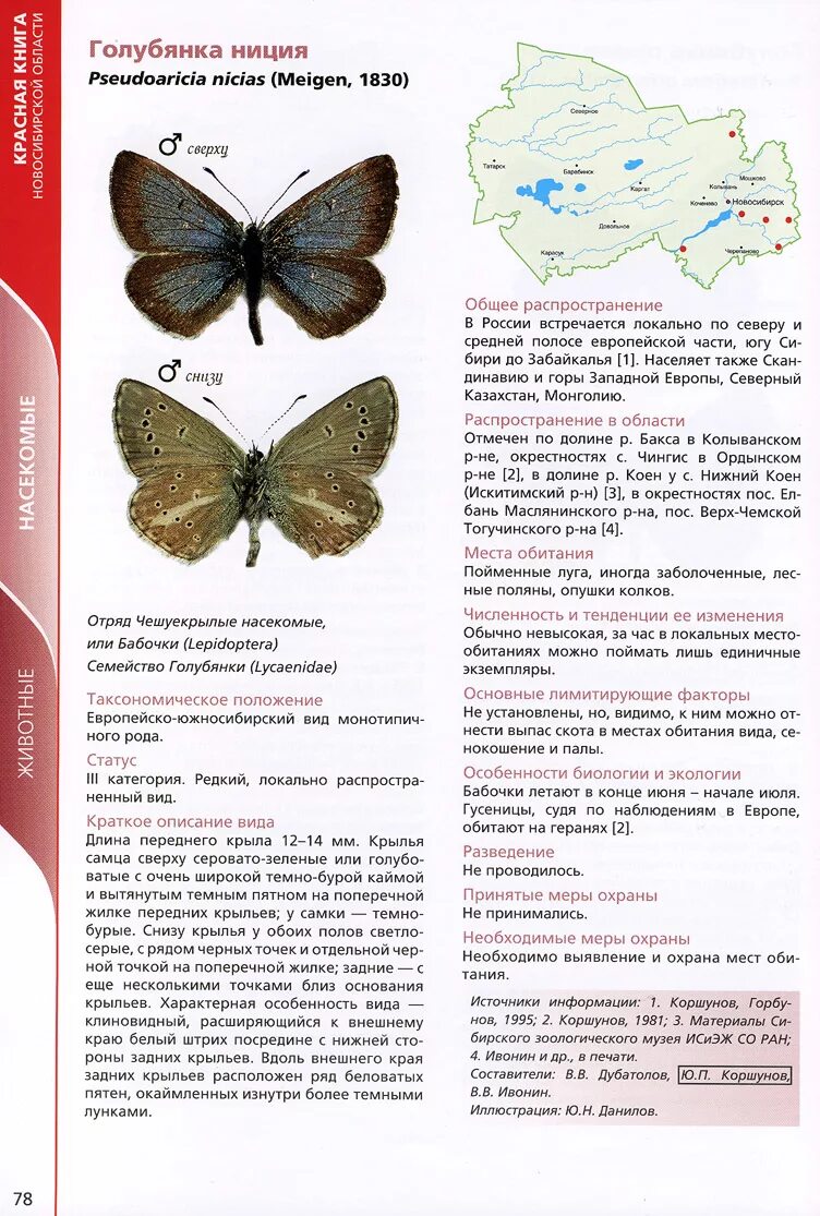 Голубая орденская бабочка из красной книги. Алтайская бабочка из красной книги. Бабочки аполлон голубянка. Бабочка парусник аполлон. Махаон перламутровка.