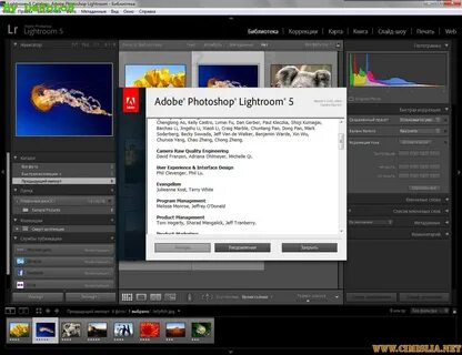 Очистить кэш adobe